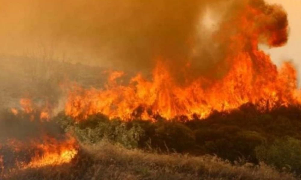 Τι να κάνετε αν πάθετε έγκαυμα από φωτιά: Ποιες είναι οι πρώτες βοήθειες